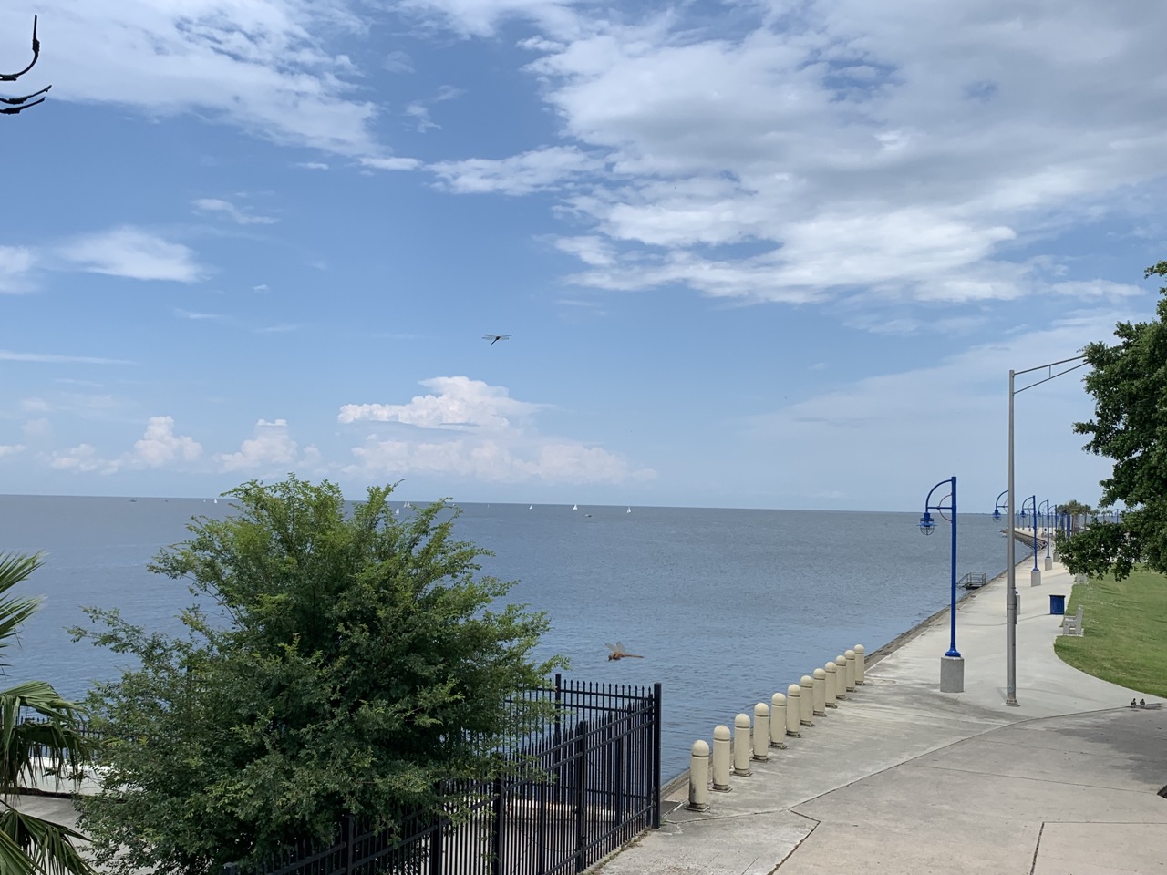 View at Landry's on the lakefront