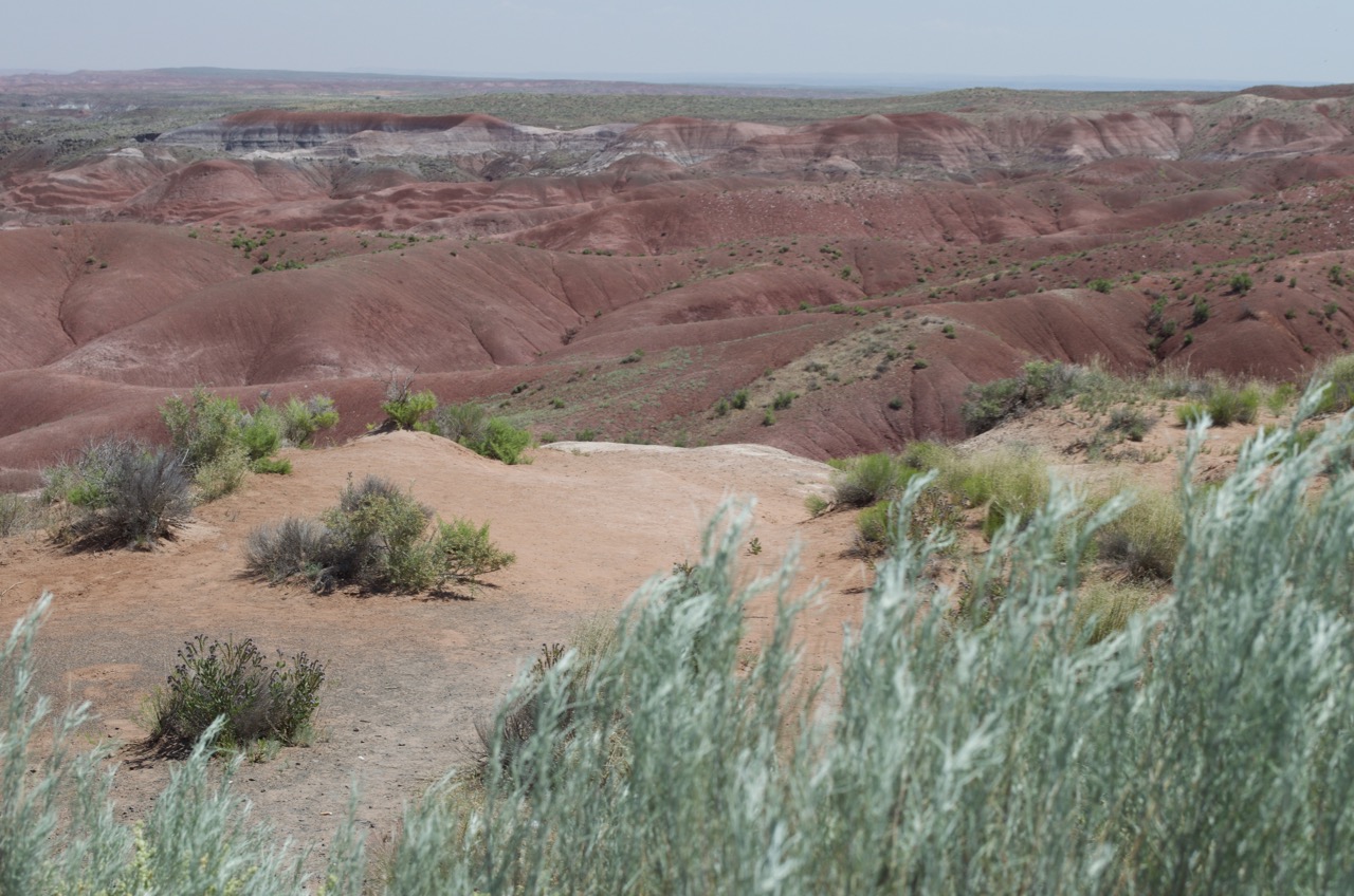 Red sandstone at Petrified Forest