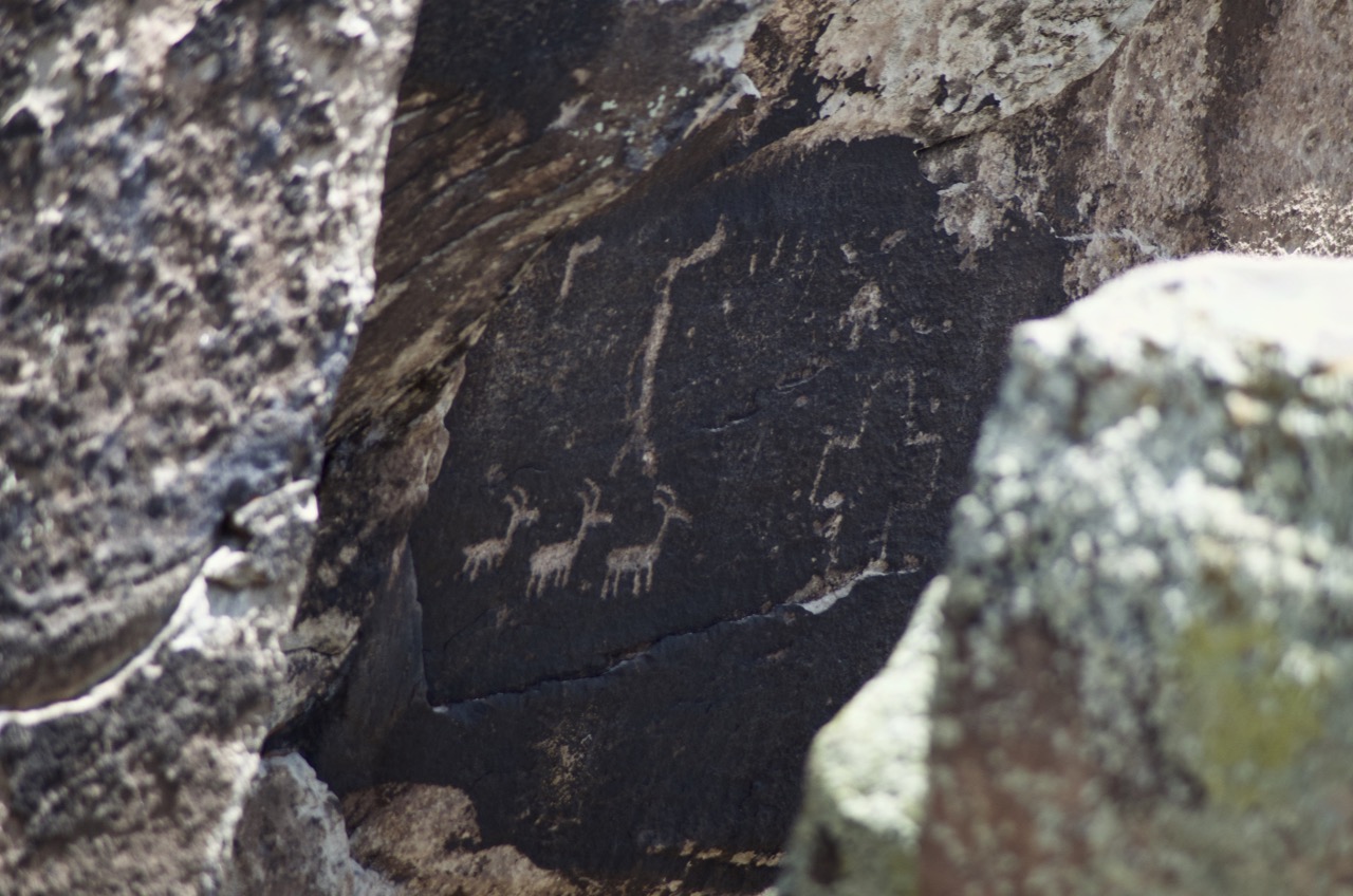 Petroglyphs