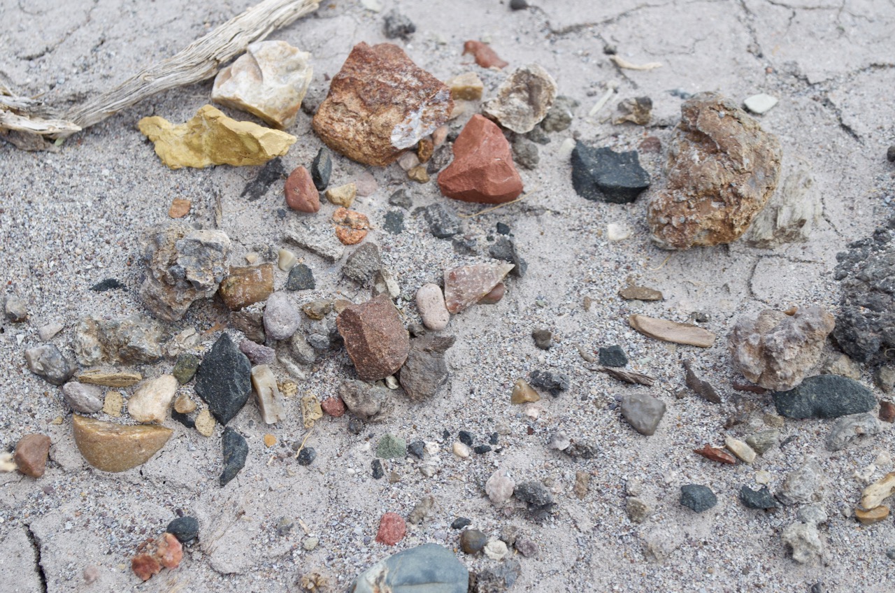 Closeup of various rock and mineral deposits.