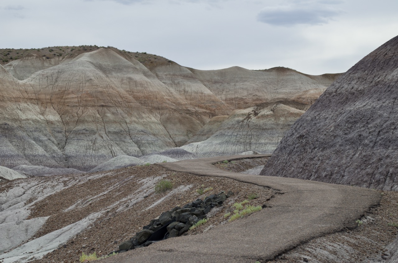 View of the Painted Desert.