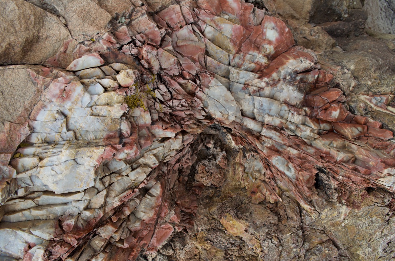 Uniquely mineralized petrified wood.