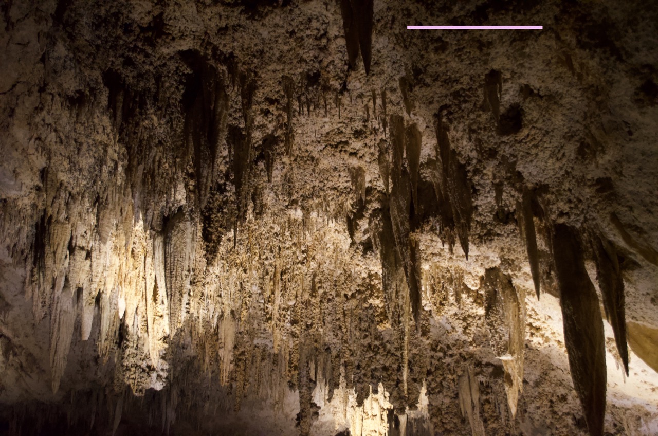 Carlsbad Caverns.