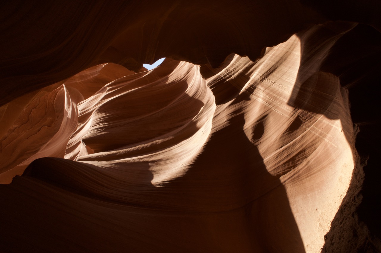 Chiaroscuro in nature.