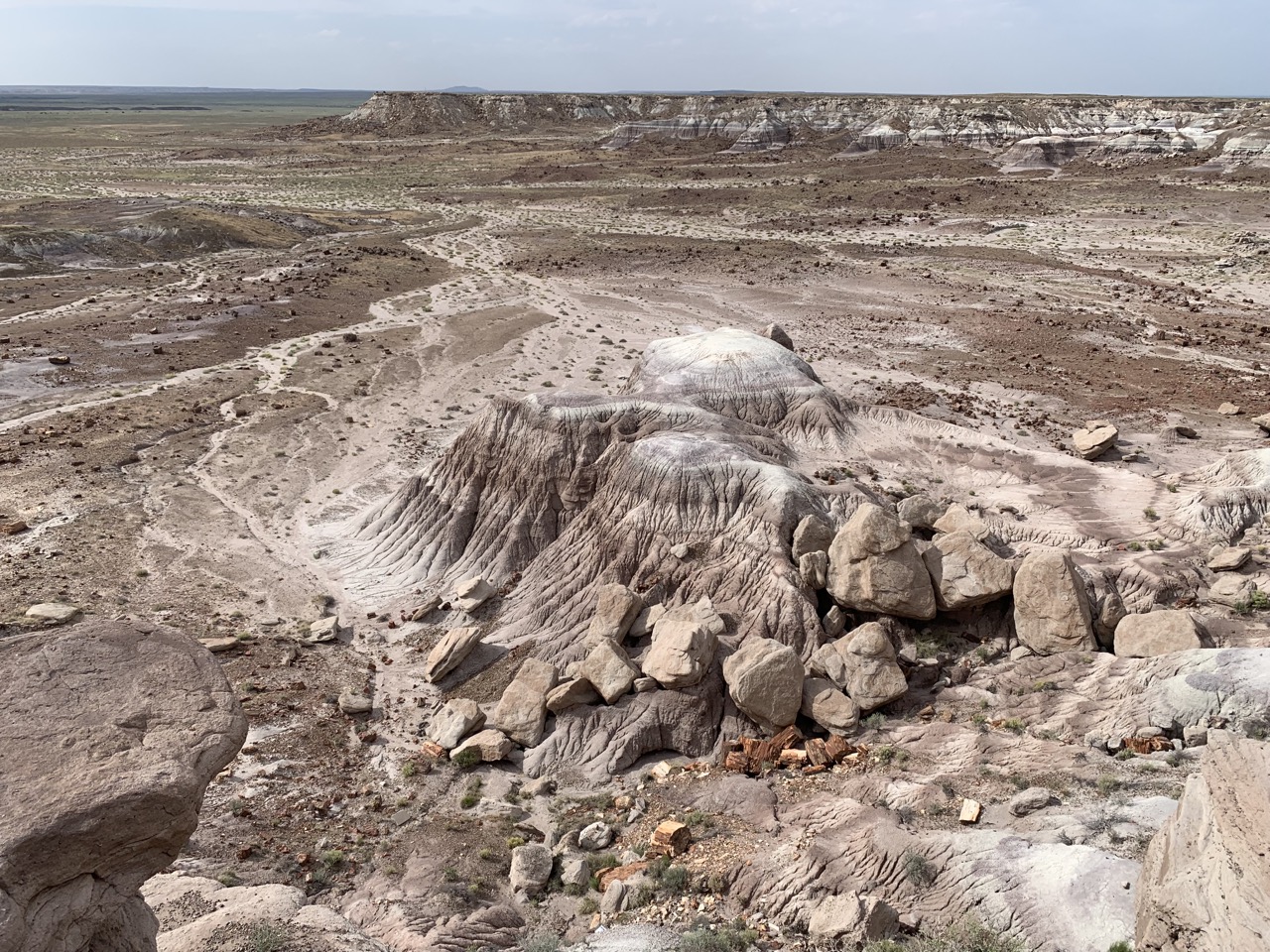 View of the Painted Desert.