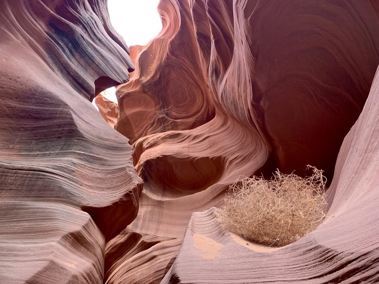 View from inside Antelope Canyon.