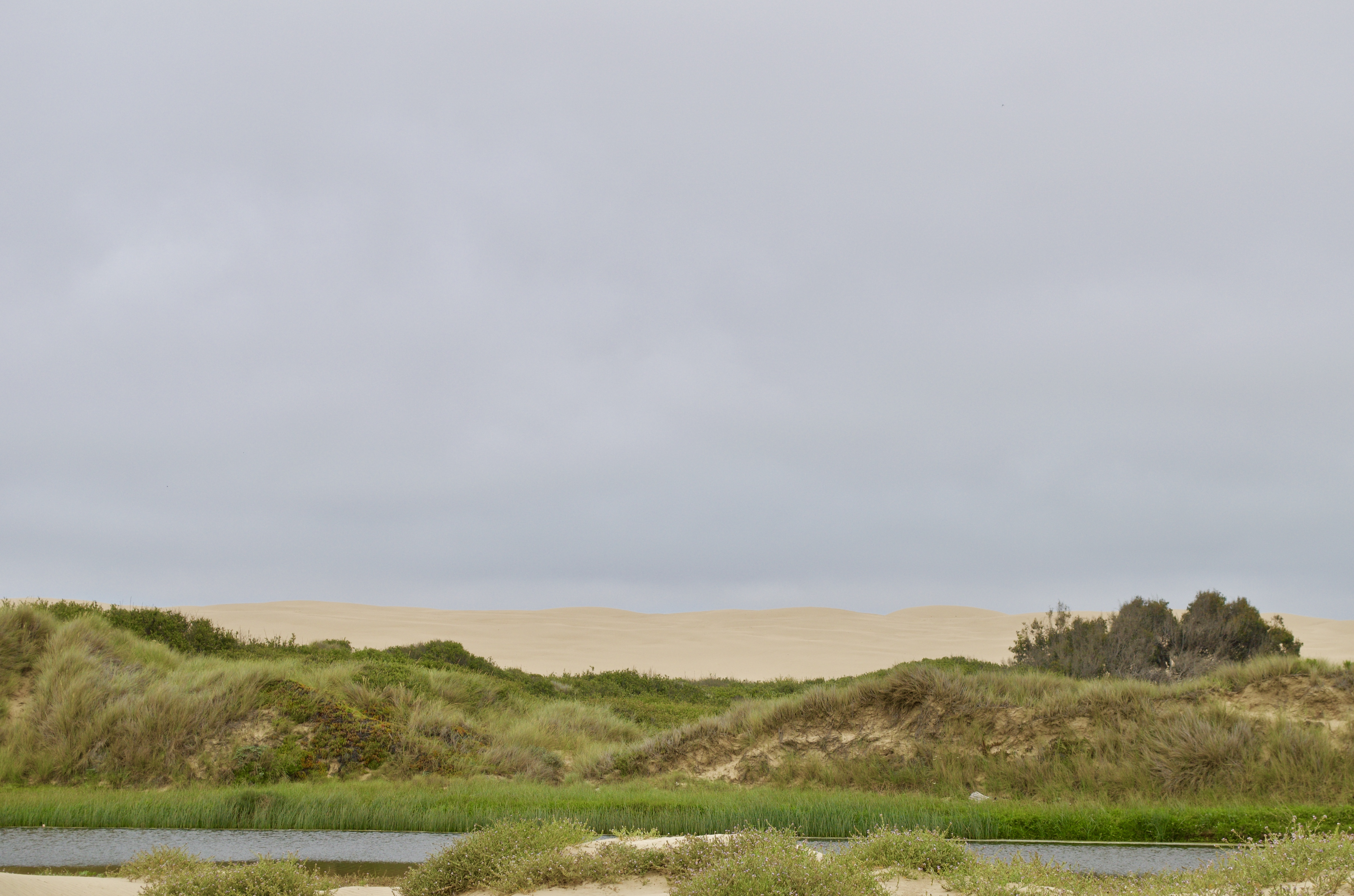 Dunes at Oceano, California.