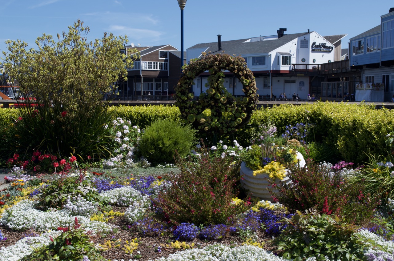 Beautiful landscaping near Pier 39