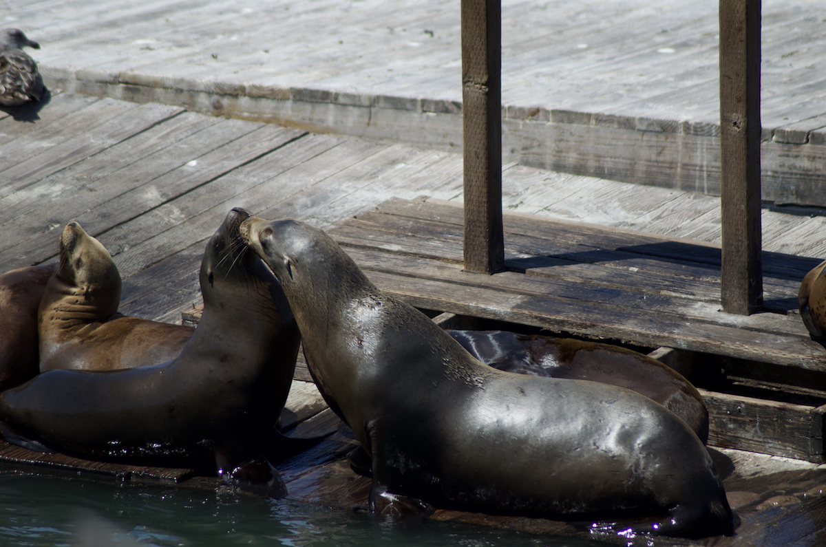 Seal it with a kiss.