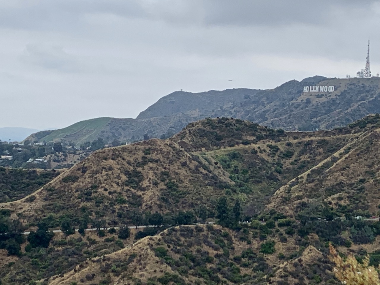 The Hollywood Sign