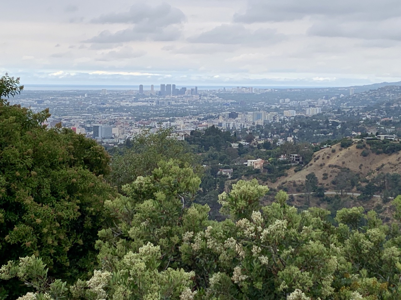 Downtown L.A. in the distance.