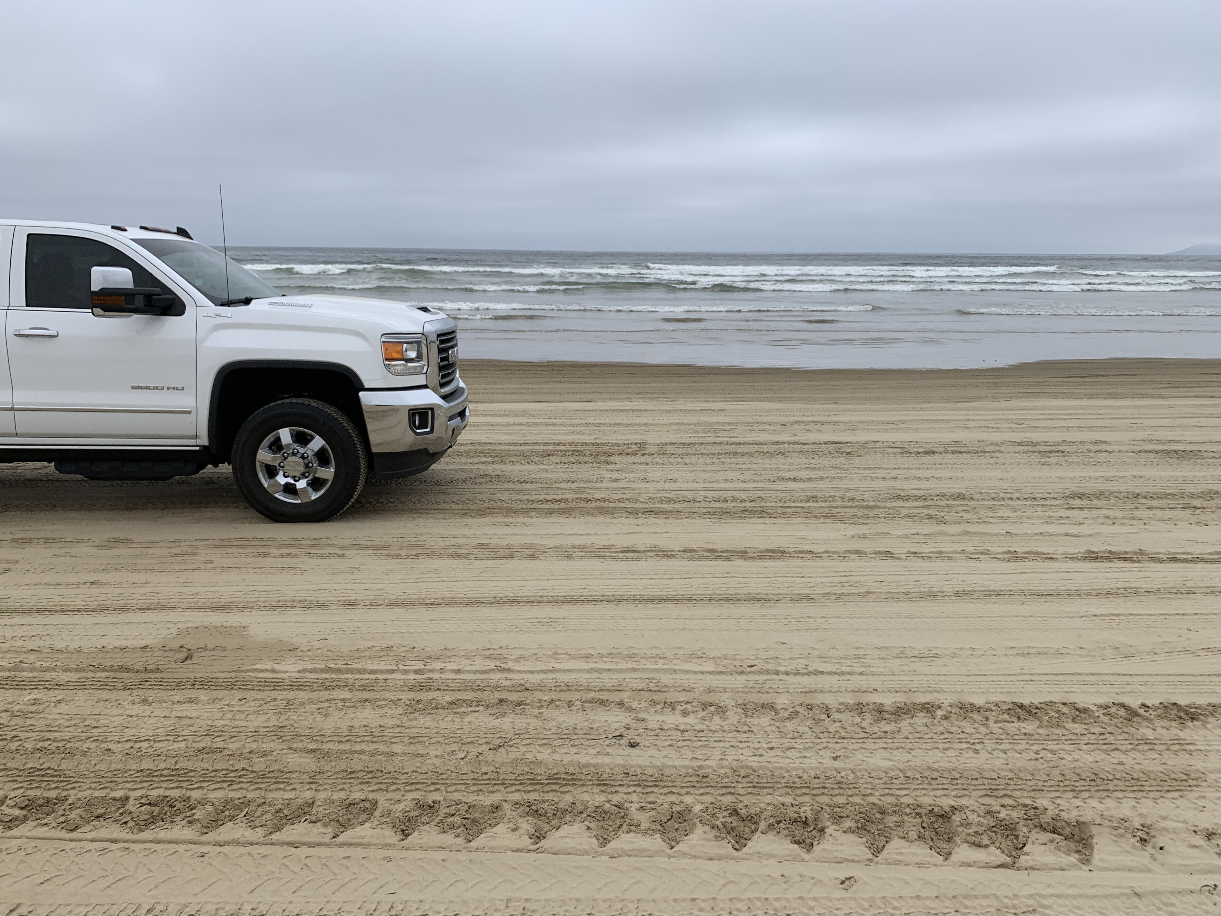 Fellow beach driver.