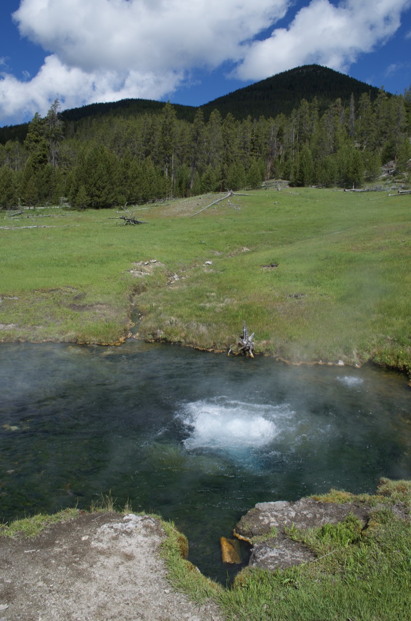 Bubbling thermal pool.