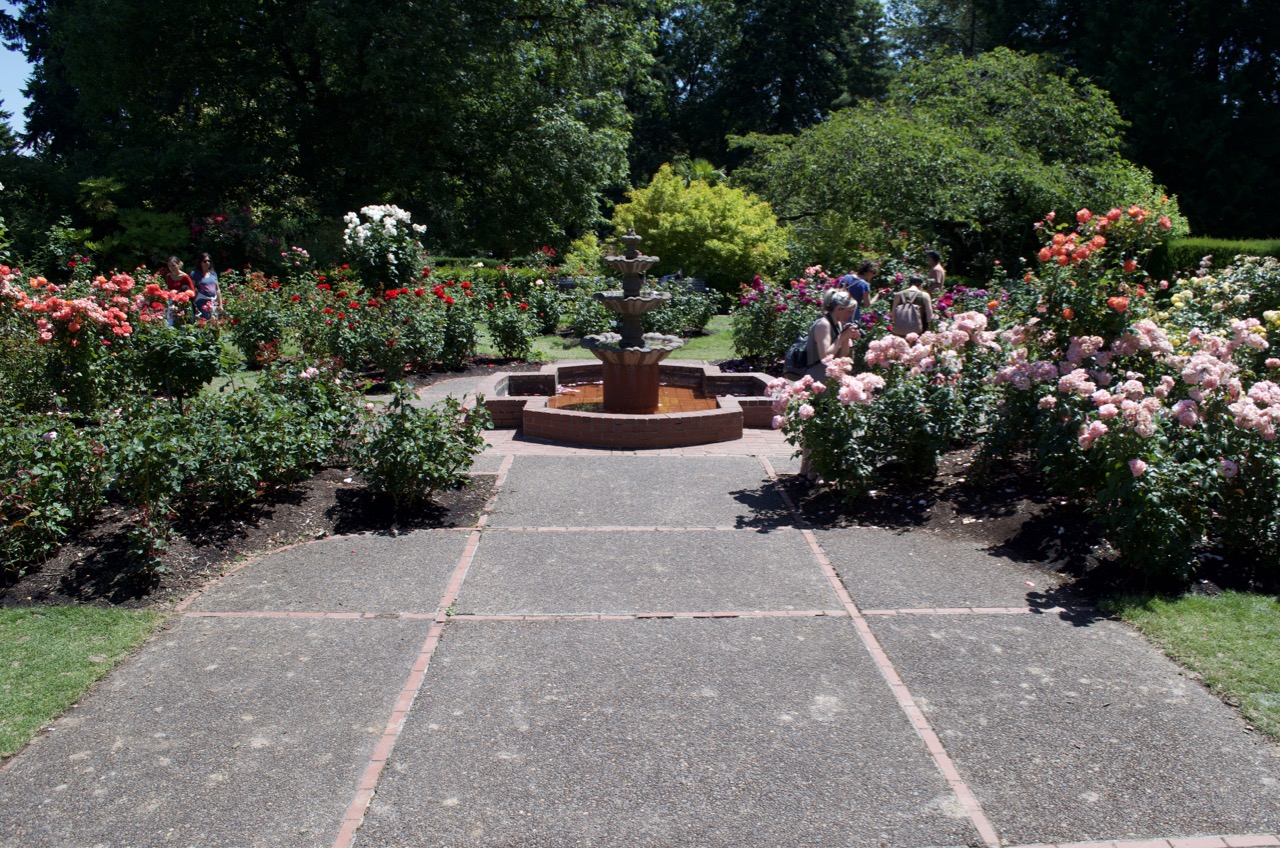 Path the International Rose Test Garden.