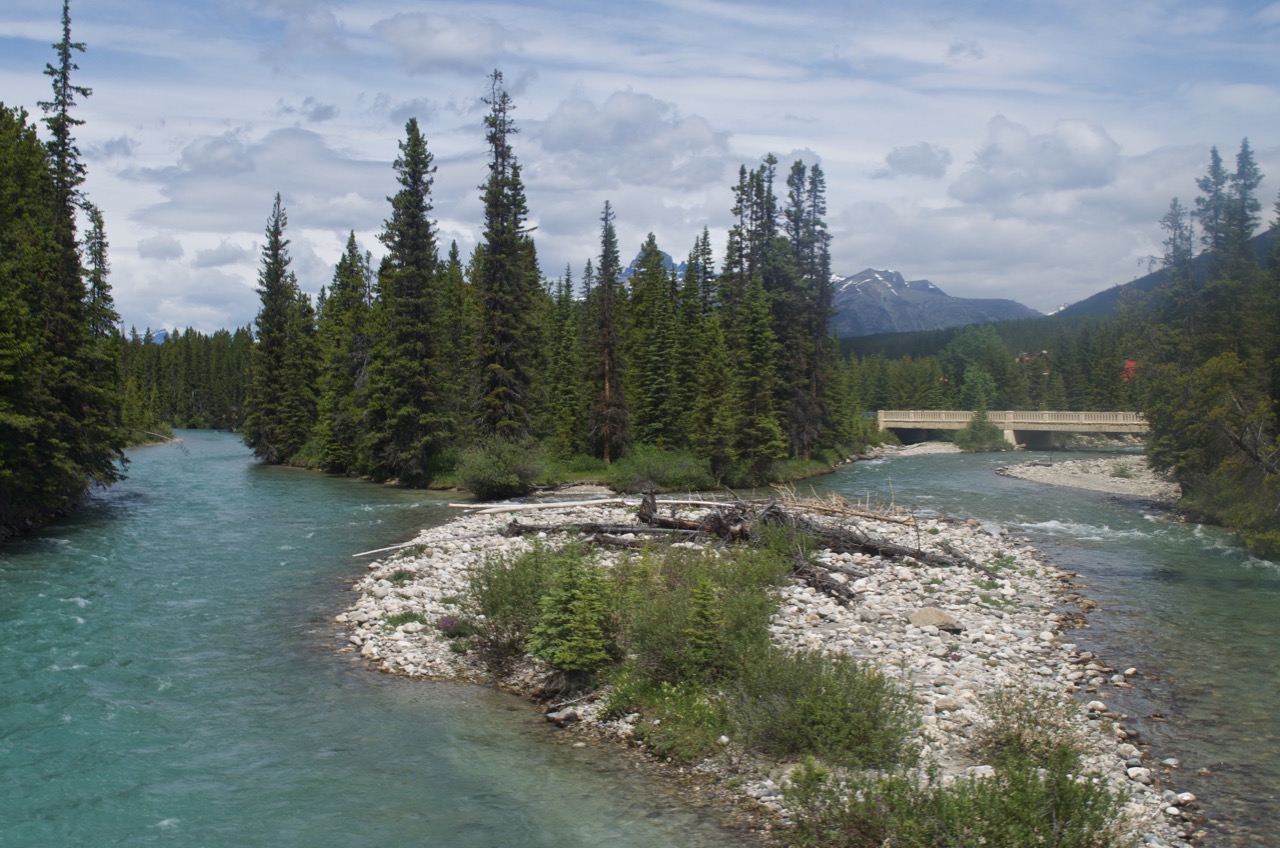 Glacial melt becomes the Bow River.