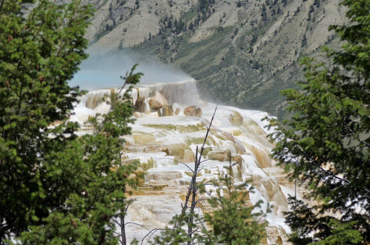 A sneak peek at Mammoth Hot Springs.