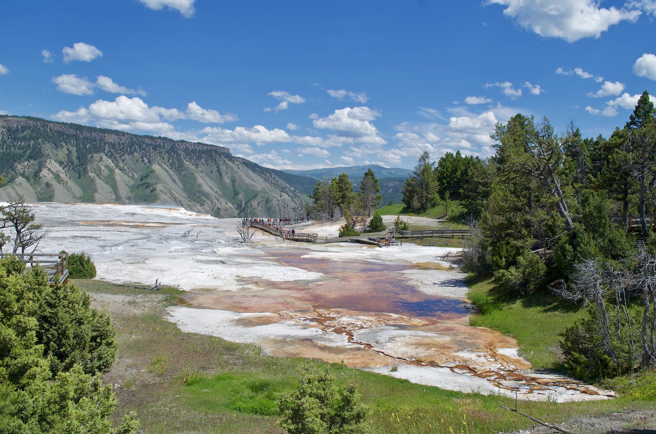 Just a generic shot of open beauty in Yellowstone National Park.