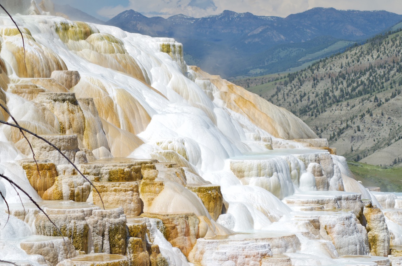 Mammoth Hot Springs.