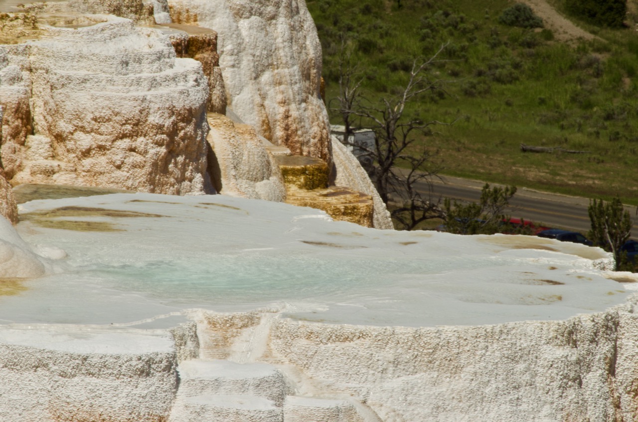 Closeup of a pool formed in part of Mammoth Hot Springs.