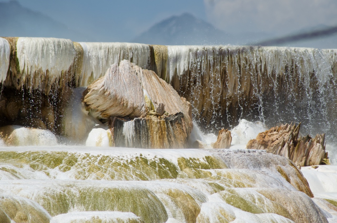 Another detail of Mammoth Hot Springs.