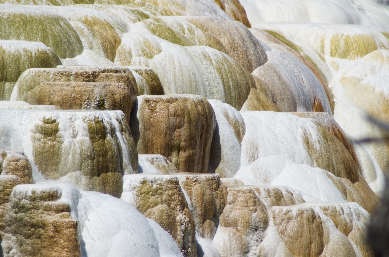 The incredible Mammoth Hot Springs.