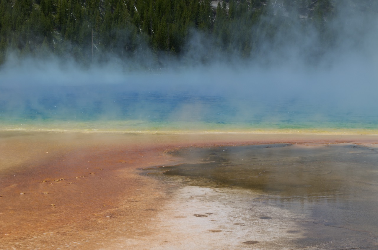 Grand Prismatic Spring at ground level. Thermophilic bacteria and algae give many of the thermal pools in the park their striking colors.