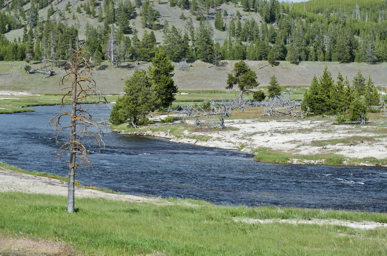 A turn in the Madison River, near the West entrance.