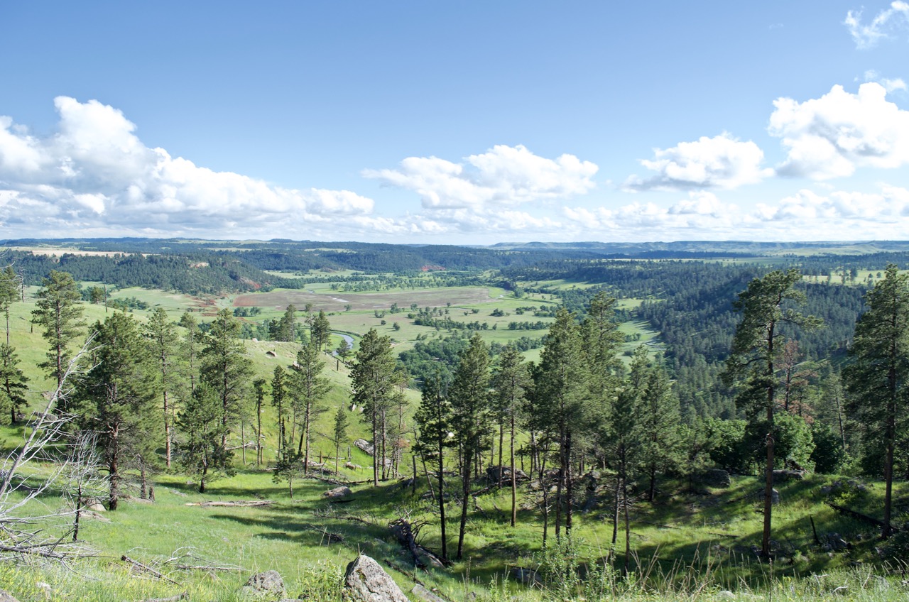 View around Devil's Tower.