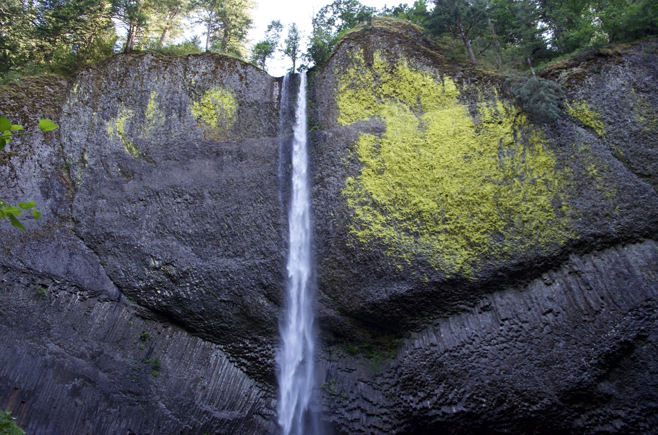 Latourell Falls.