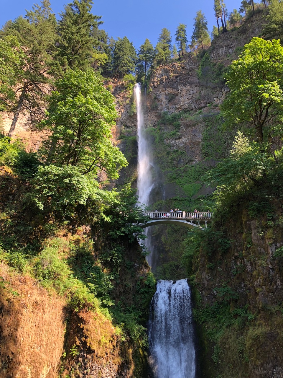 The famous Multnomah Falls.