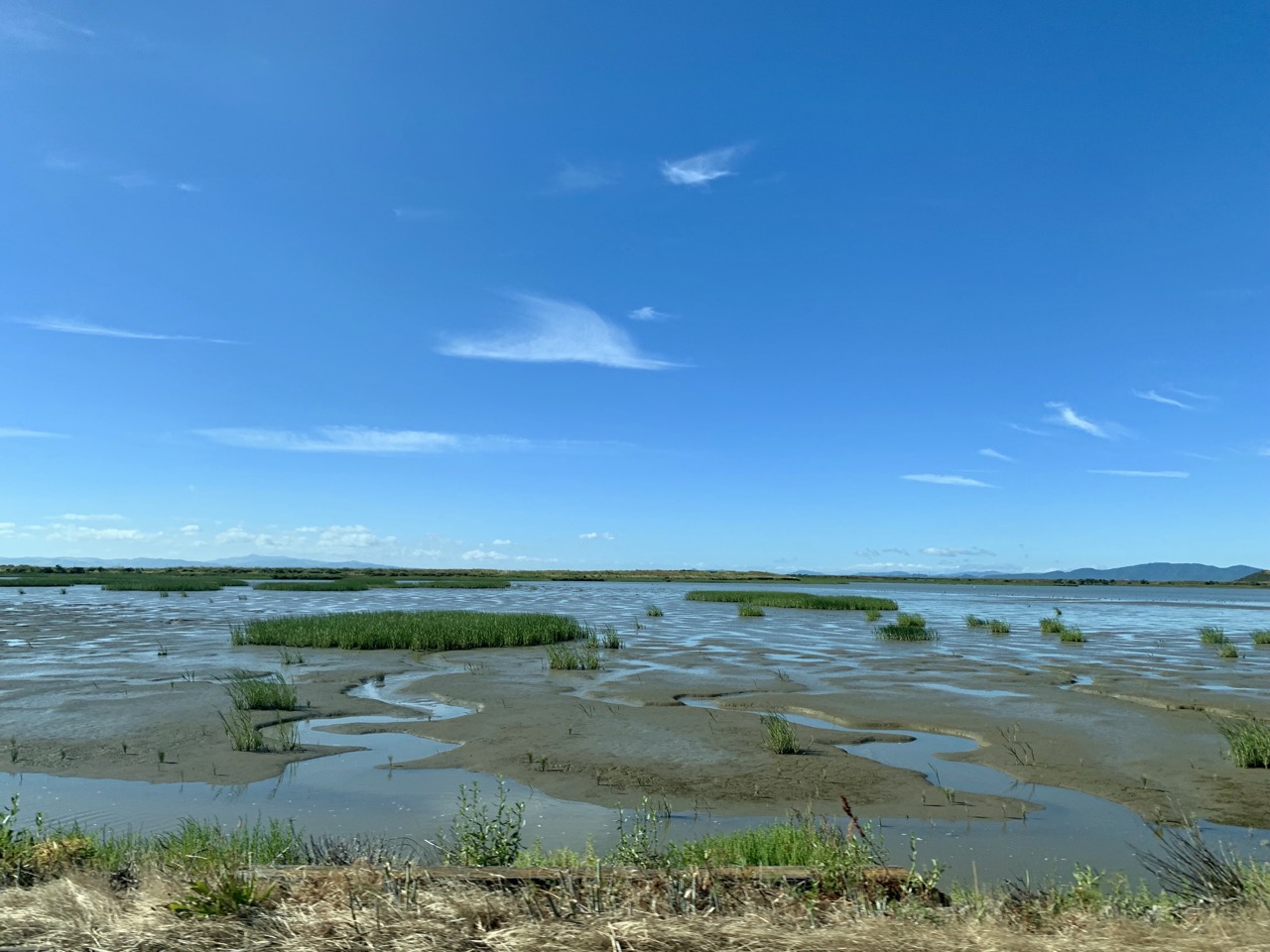 Near San Pablo Bay National Wildlife Refuge