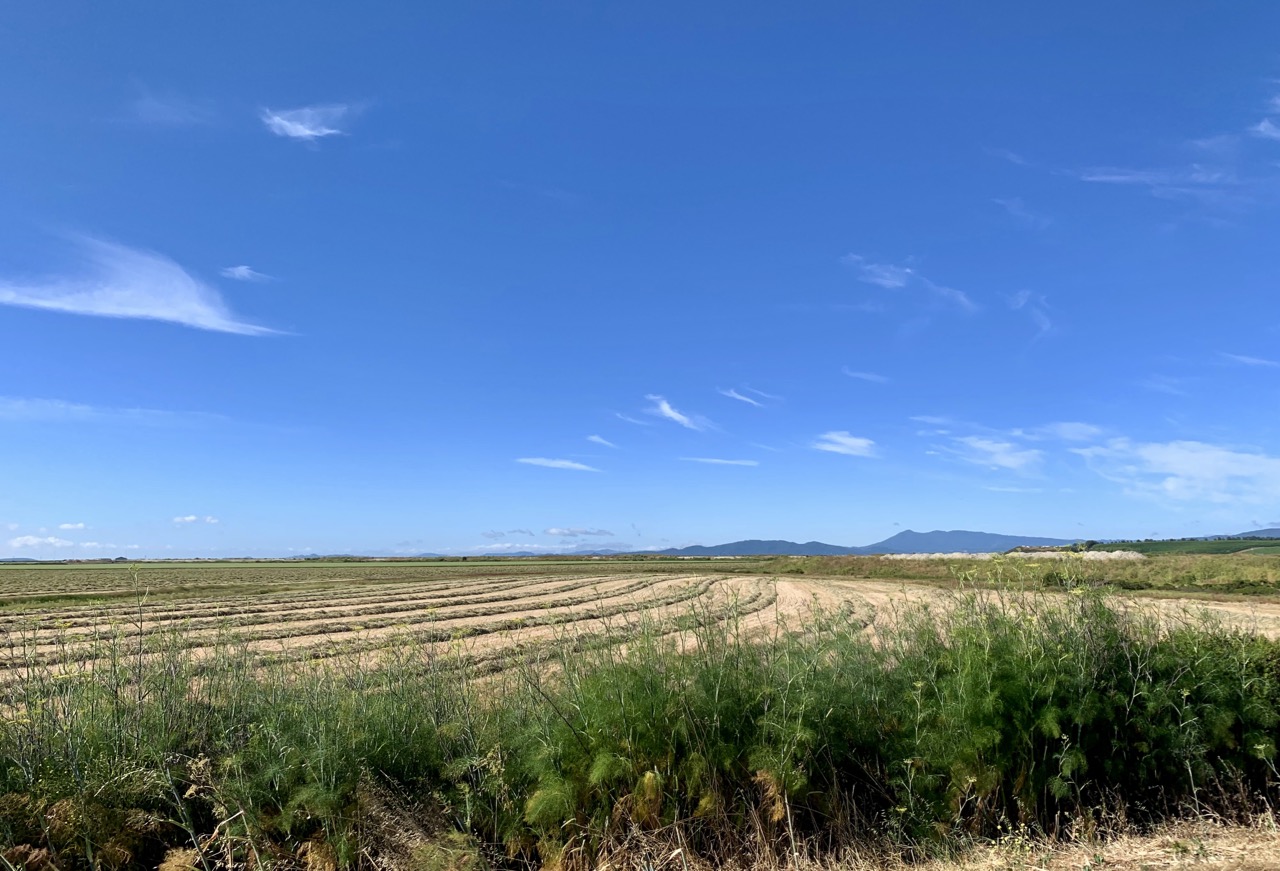 Near San Pablo Bay National Wildlife Refuge