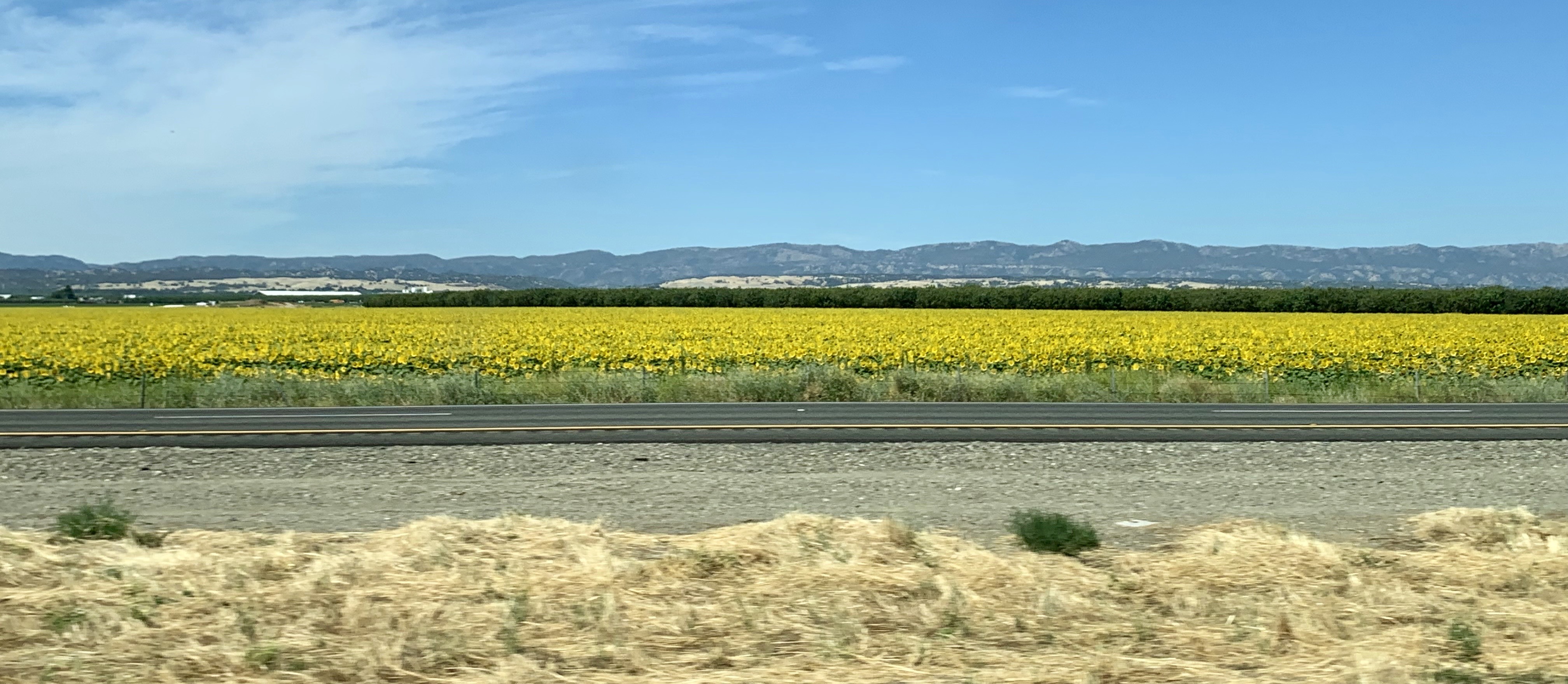 Near San Pablo Bay National Wildlife Refuge