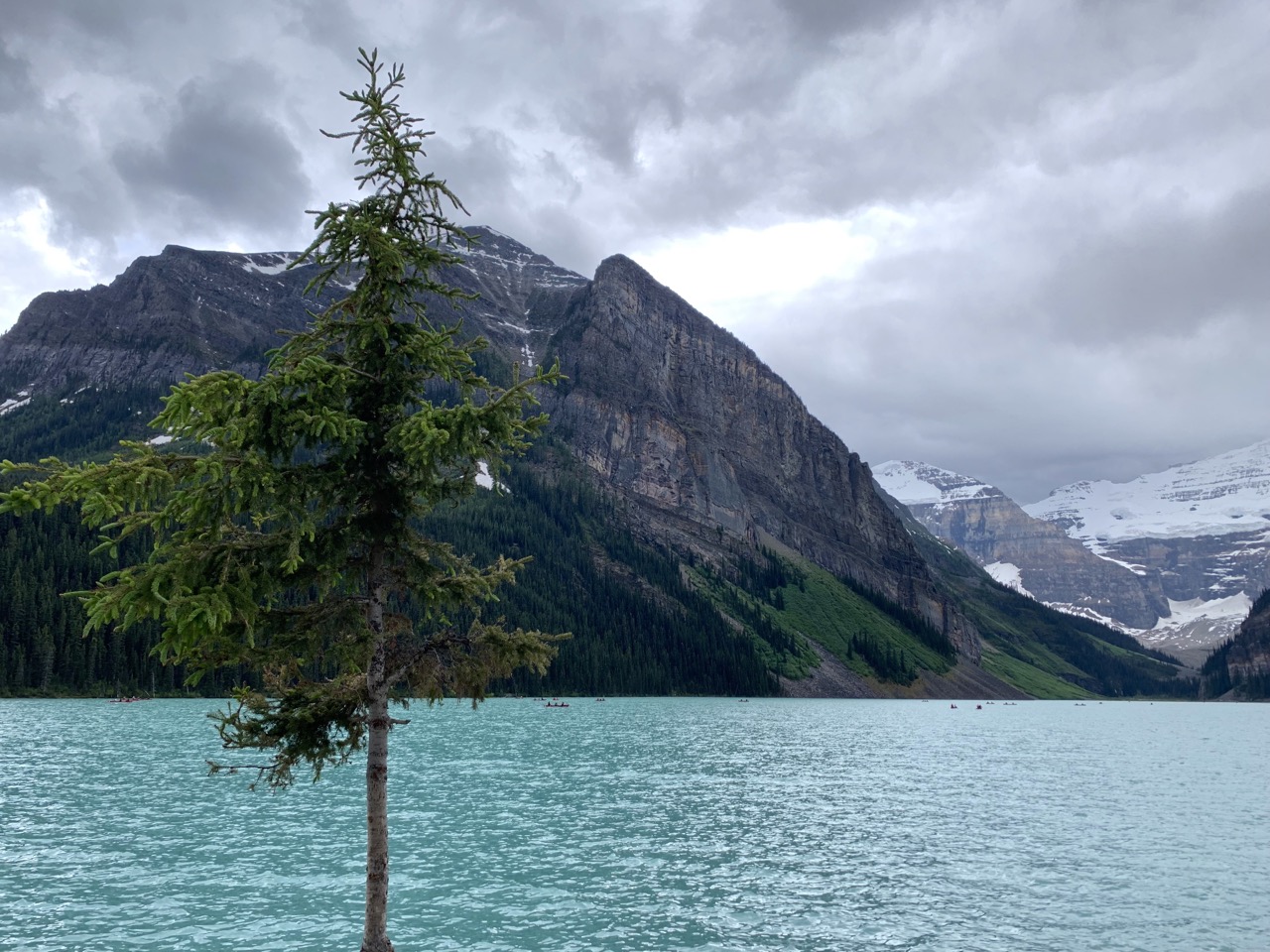 The magnificent color of Lake Louise comes from so-called "rock flour" (fine-grained silt from the surrounding mountains) carried into the lake when the nearby glaciers melt during the warmer season.