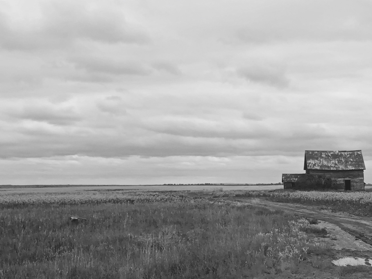 Farm in the southern plains of Alberta.