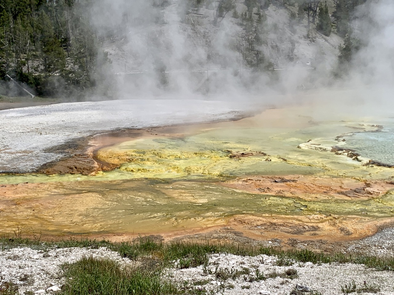 Thermophilic bacteria color Biscuit Basin in Yellowstone.