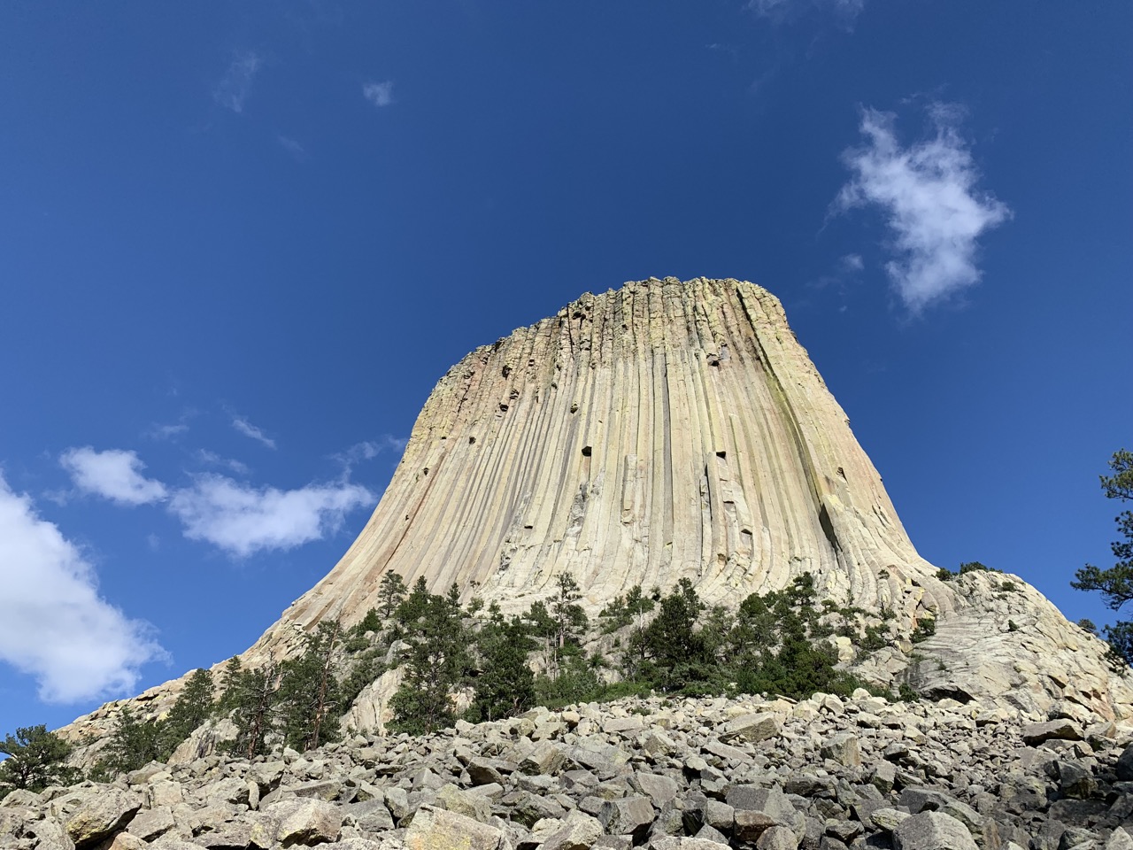 Beautiful post-rainstorm sun shines on Devil's Tower.