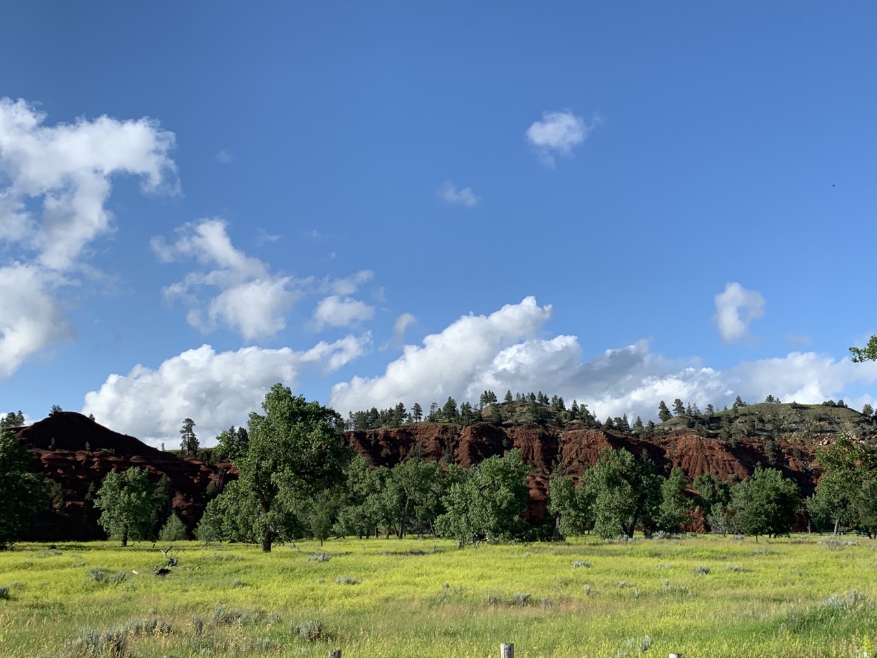 About a half-hour east of Devil's Tower.