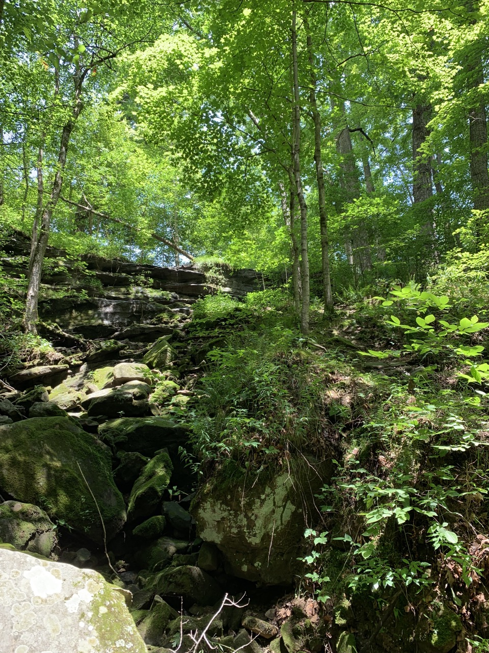 Beautiful nature at Mammoth Cave National Park.