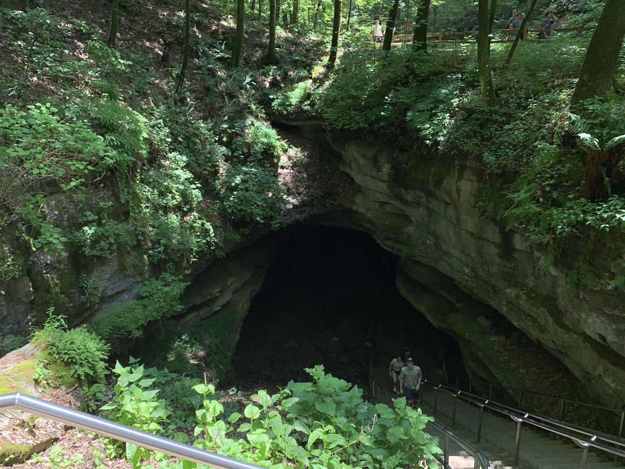 The natural entrance to Mammoth Cave.