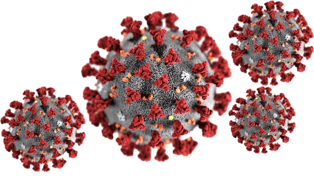 Coronavirus